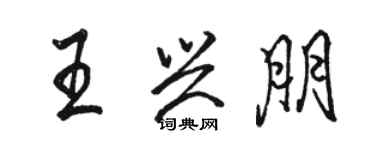 駱恆光王興朋行書個性簽名怎么寫