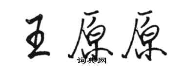 駱恆光王原原行書個性簽名怎么寫