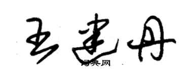 朱錫榮王建丹草書個性簽名怎么寫