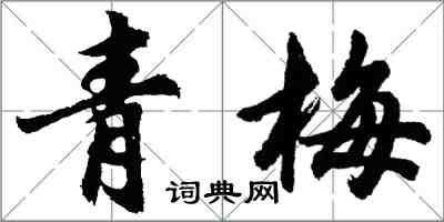 胡問遂青梅行書怎么寫