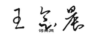 駱恆光王念晨草書個性簽名怎么寫