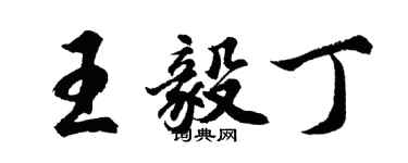 胡問遂王毅丁行書個性簽名怎么寫