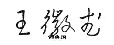 駱恆光王徽武草書個性簽名怎么寫