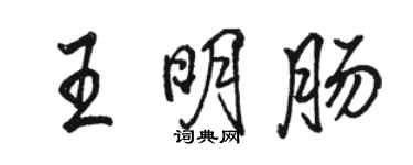 駱恆光王明腸行書個性簽名怎么寫