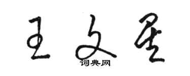 駱恆光王文星草書個性簽名怎么寫