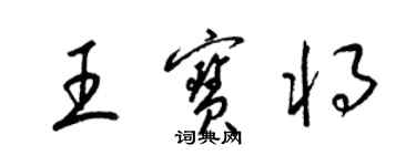 梁錦英王寶將草書個性簽名怎么寫