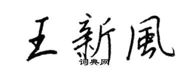 王正良王新風行書個性簽名怎么寫