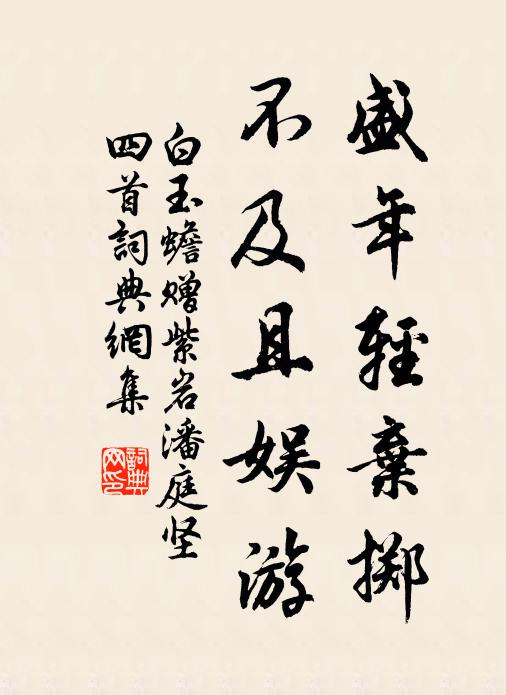 妙年光可鑑,炯若鴉羽戢 詩詞名句