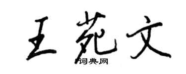 王正良王苑文行書個性簽名怎么寫