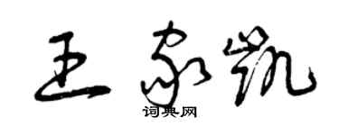 曾慶福王家凱草書個性簽名怎么寫