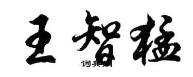 胡問遂王智猛行書個性簽名怎么寫