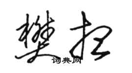 駱恆光樊想草書個性簽名怎么寫