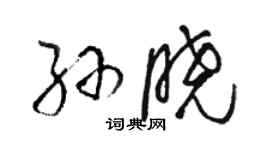 駱恆光孫曉草書個性簽名怎么寫