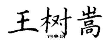 丁謙王樹嵩楷書個性簽名怎么寫