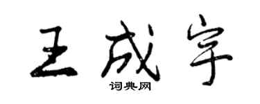 曾慶福王成宇行書個性簽名怎么寫