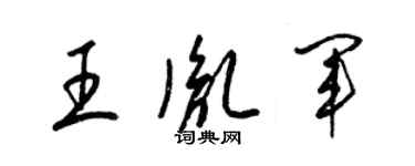 梁錦英王胤軍草書個性簽名怎么寫