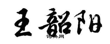 胡問遂王韶陽行書個性簽名怎么寫