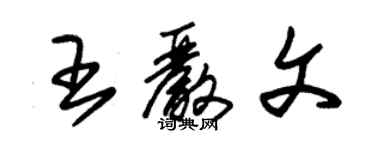 朱錫榮王嚴文草書個性簽名怎么寫