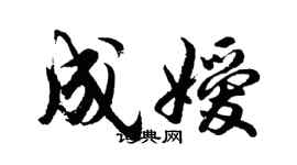 胡問遂成嬡行書個性簽名怎么寫