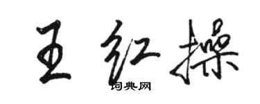 駱恆光王紅操行書個性簽名怎么寫