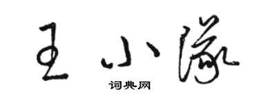 駱恆光王小隊草書個性簽名怎么寫