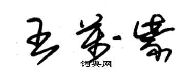 朱錫榮王萬紫草書個性簽名怎么寫