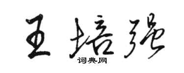 駱恆光王培強行書個性簽名怎么寫