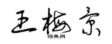 曾慶福王梅景草書個性簽名怎么寫