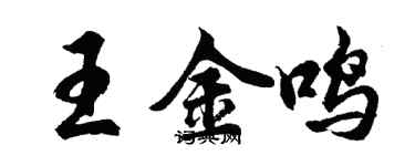 胡問遂王金鳴行書個性簽名怎么寫