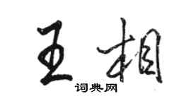 駱恆光王相行書個性簽名怎么寫
