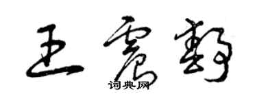 曾慶福王震靜草書個性簽名怎么寫