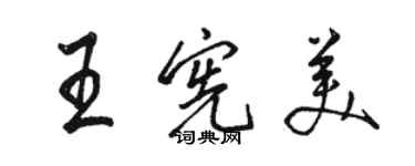 駱恆光王憲美行書個性簽名怎么寫