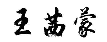 胡問遂王茜蒙行書個性簽名怎么寫