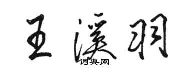 駱恆光王溪羽行書個性簽名怎么寫