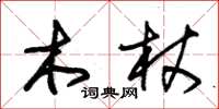 朱錫榮木杖草書怎么寫
