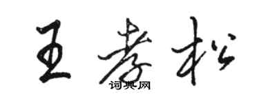 駱恆光王孝松行書個性簽名怎么寫