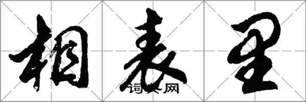 胡問遂相表里行書怎么寫