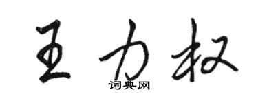 駱恆光王力權行書個性簽名怎么寫