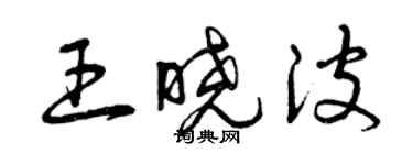 曾慶福王曉波草書個性簽名怎么寫