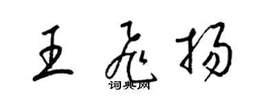 梁錦英王飛揚草書個性簽名怎么寫