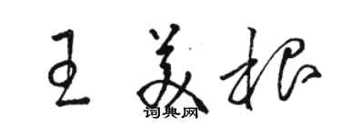 駱恆光王美根草書個性簽名怎么寫