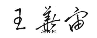 駱恆光王華宙草書個性簽名怎么寫