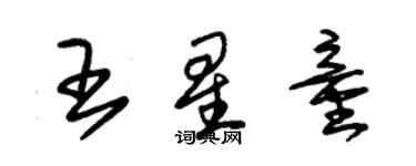 朱錫榮王星童草書個性簽名怎么寫