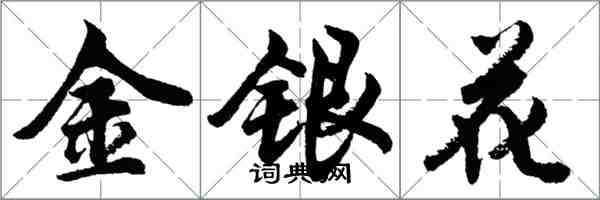 胡問遂金銀花行書怎么寫