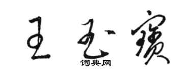 駱恆光王玉寶草書個性簽名怎么寫