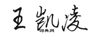 駱恆光王凱凌行書個性簽名怎么寫