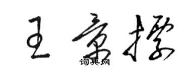 駱恆光王景標草書個性簽名怎么寫