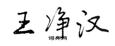 曾慶福王淨漢行書個性簽名怎么寫