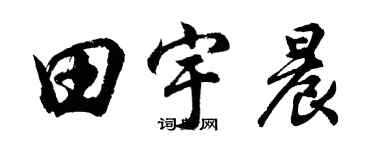 胡問遂田宇晨行書個性簽名怎么寫