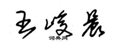 朱錫榮王峻晨草書個性簽名怎么寫